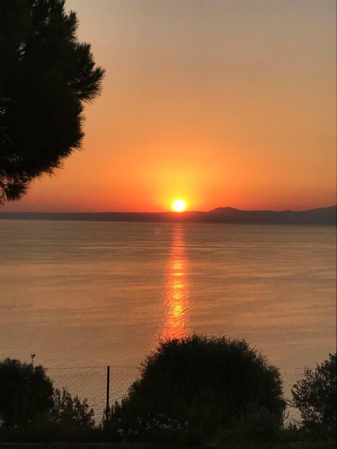 The House Of Blue Βίλα Άφυτος Εξωτερικό φωτογραφία